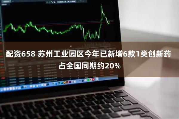 配资658 苏州工业园区今年已新增6款1类创新药 占全国同期约20%