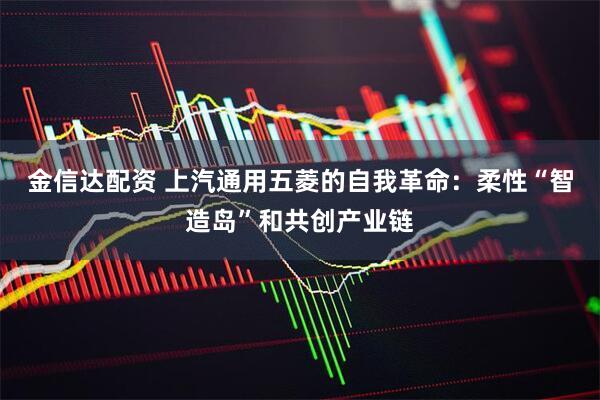 金信达配资 上汽通用五菱的自我革命：柔性“智造岛”和共创产业链